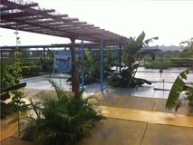 ��Ȧ- ��ȦΪ�Ķ���